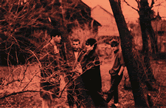 Click on thumbnail for larger image 